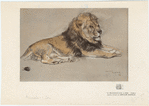 Image ID 823049