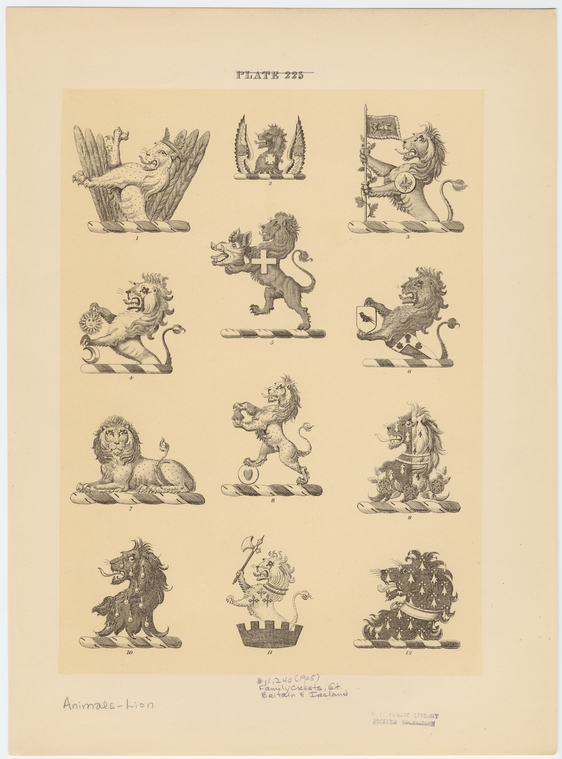 Image ID 823053
