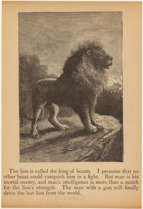 Image ID 823056