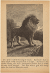 Image ID 823056