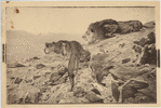 Image ID 823060