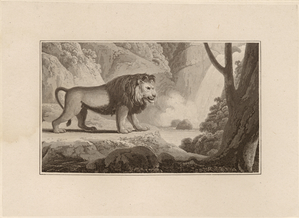 Image ID 823062