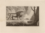 Image ID 823062