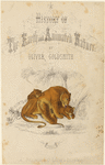 Image ID 823067