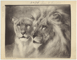 Image ID 823071
