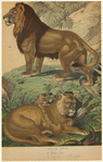 Image ID 823072