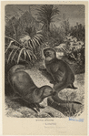 Image ID 823077