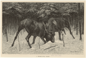 Image ID 823083