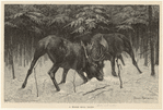 Image ID 823083