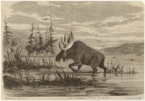 Image ID 823085