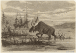 Image ID 823085
