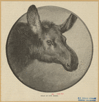Image ID 823089