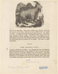Image ID 823092