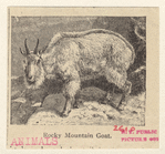 Image ID 823095