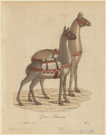 Image ID 823098