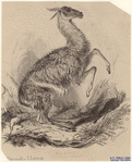 Image ID 823100
