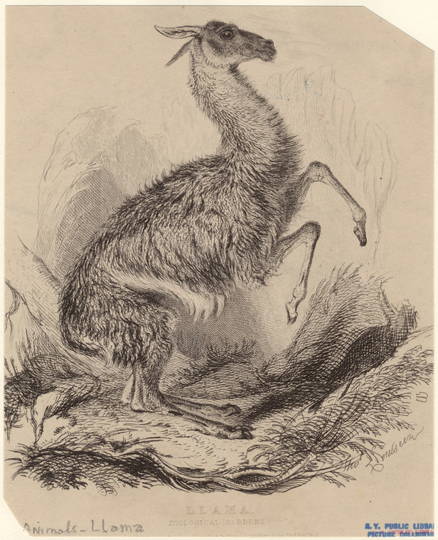 Image ID 823100
