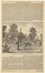 Image ID 823102