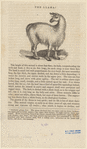 Image ID 823104