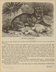 Image ID 823115