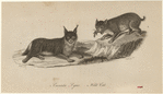 Image ID 823116
