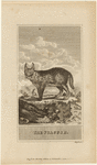 Image ID 823117