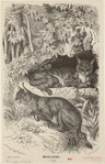 Image ID 823118