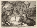 Image ID 823119