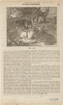 Image ID 823120
