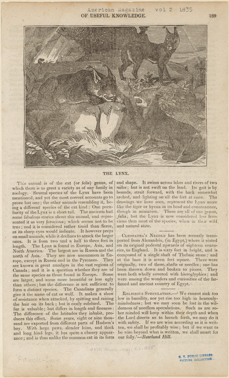 Image ID 823120
