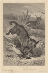 Image ID 823121