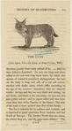 Image ID 823123