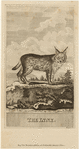 Image ID 823124