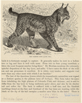 Image ID 823127