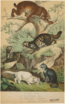 Image ID 823128