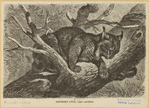 Image ID 823130