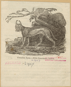 Image ID 823131