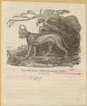Image ID 823131