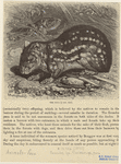 Image ID 823138