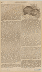 Image ID 823139