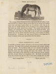 Image ID 823142
