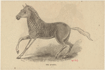Image ID 823145