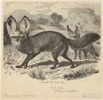 Image ID 823146