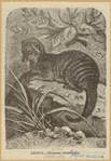 Image ID 823149