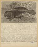 Image ID 823156