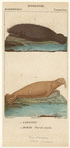 Image ID 823158