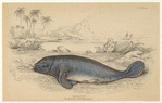 Image ID 823161