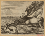 Image ID 823162