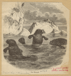 Image ID 823163