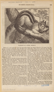 Image ID 823166